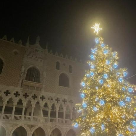 Der schöne Weihnachtsbaum auf der Piazza San Marco