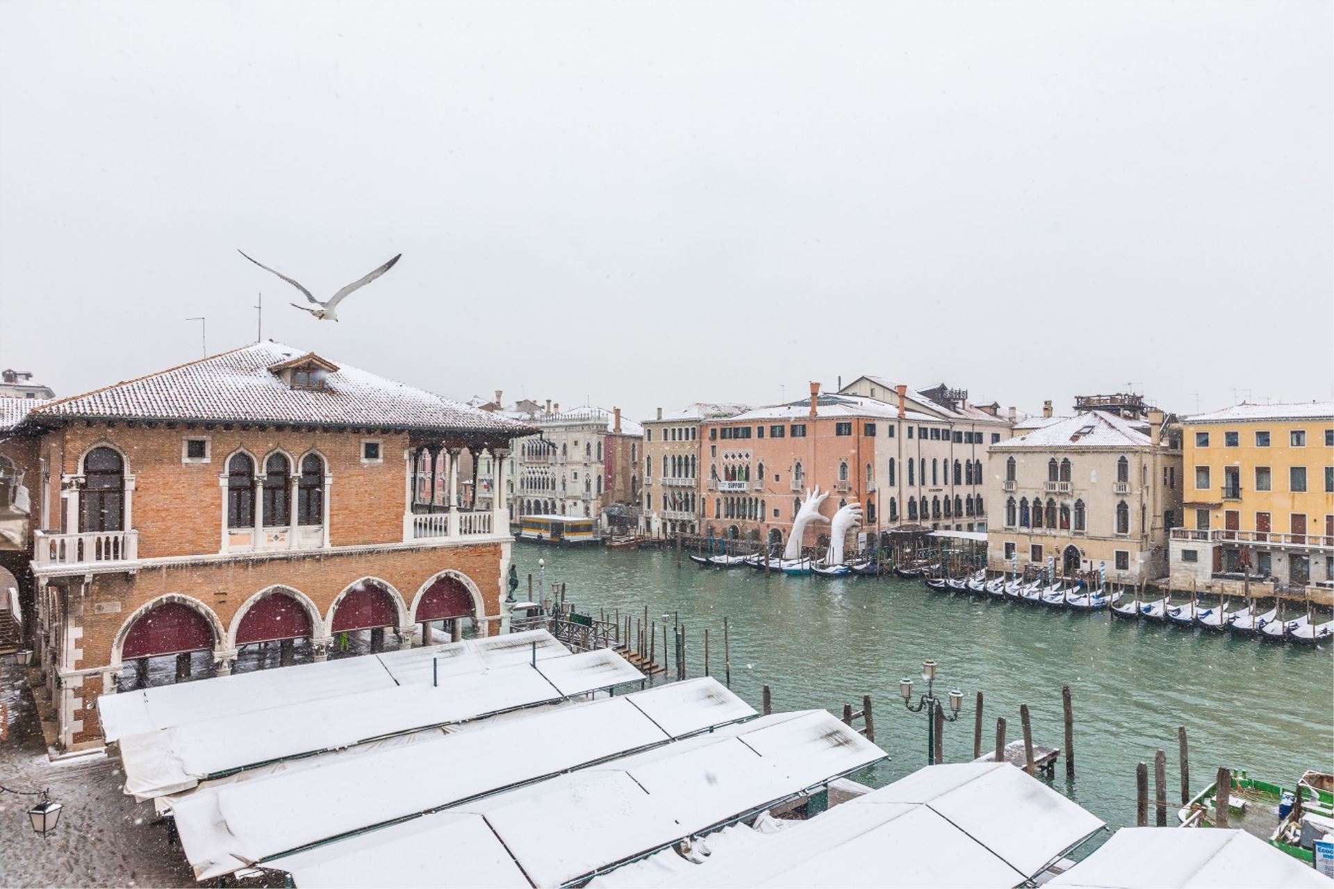 RIALTO MERCATO