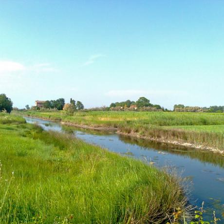 La bella campagna dell'isola di Sant'Erasmo nella laguna veneziana, patria del carciofo violetto