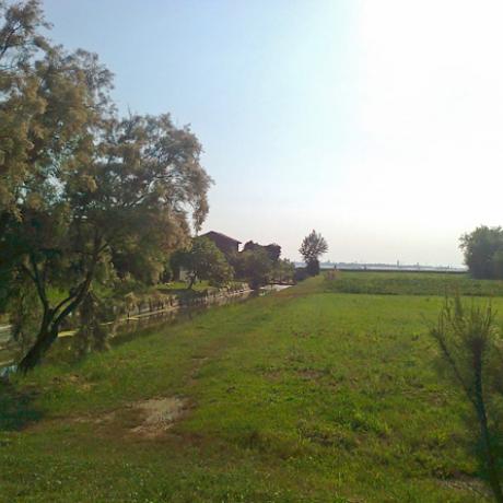 La bella campagna dell'isola di Sant'Erasmo nella laguna veneziana, patria del carciofo violetto