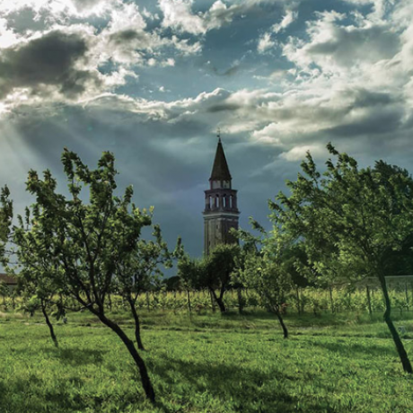 La belle campagne de l'île de Mazzorbo